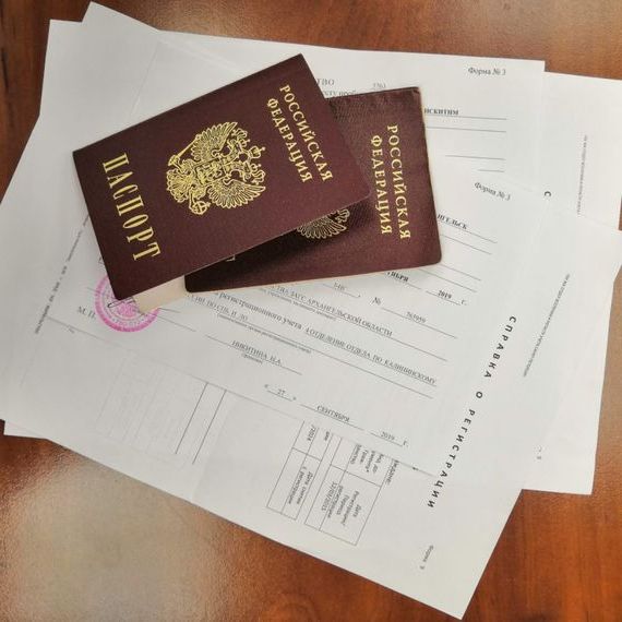 прописка в Елизово